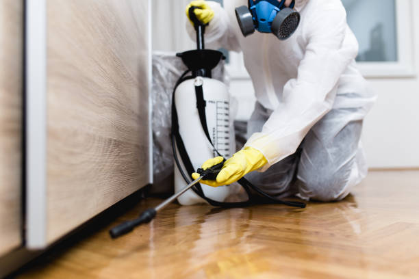 Best Best Pest Control Companies  in South Wenatchee, WA