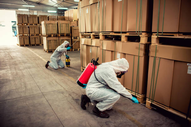 Best Bed Bug Extermination  in South Wenatchee, WA