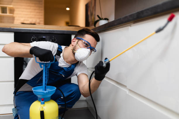 Best Cockroach Control Services  in South Wenatchee, WA