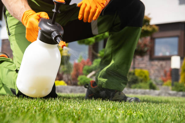 Best Residential Pest Control  in South Wenatchee, WA