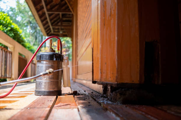 Best Local Pest Control Services  in South Wenatchee, WA