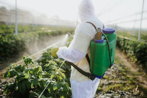 Best Pest Prevention Services  in South Wenatchee, WA